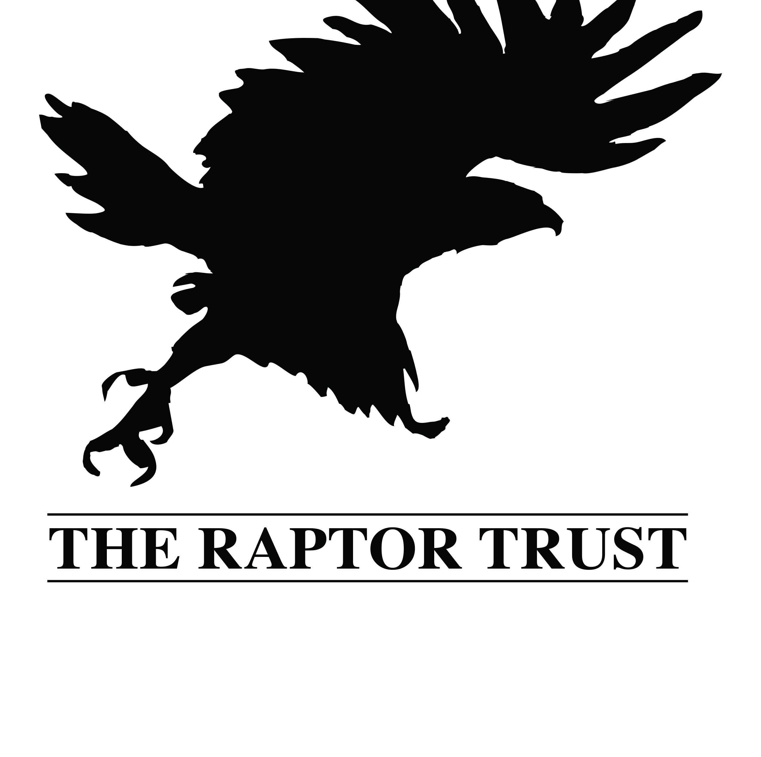 Walk for Hawks 2026 - logo